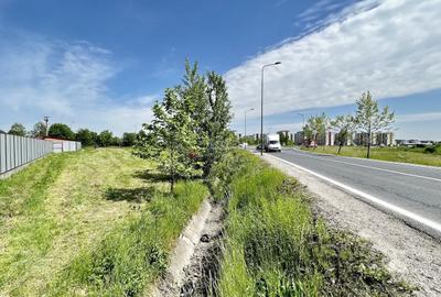 Teren Construcții intravilan de 13566 mp, în Bartolomeu - 3