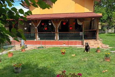Casa cu etaj (P+1) gradina 736mp - 1