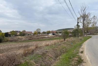 Teren de 8665 mp, în Central - 3