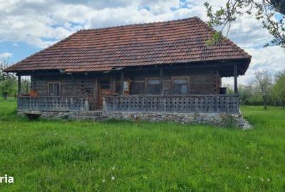 Casă cu 4 camere în Albești - 3