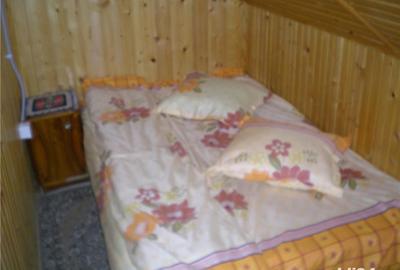 Casă cu 7 camere cu Teren 400 Mp în Greșu - 8