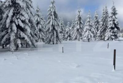 Teren de 853 mp, în Central - 2