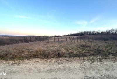 Spațiu comercial, în Central - 2