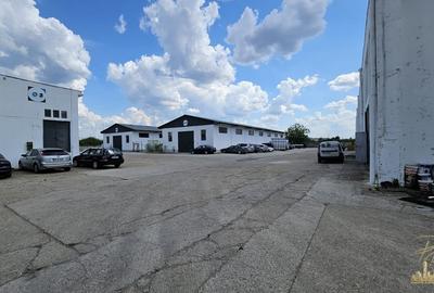 Proprietate industriala renovata | 2 hale de vanzare in zona Seleus - 3