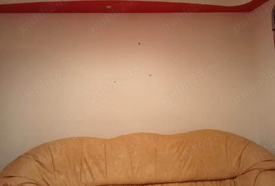 Vand sau schimb CASA Radu Negru Braila - 6