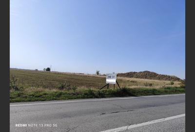 Teren agricol 2500 mp, Cocorăștii Colț - 3