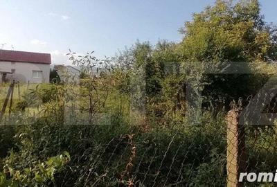 Casa 85 mp, 3 camere, baie 1000 mp teren, in Sard - 4