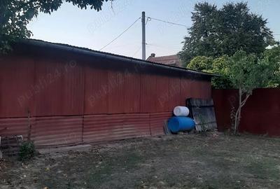 Inchiriere HALA metalica Timi?oara - 8