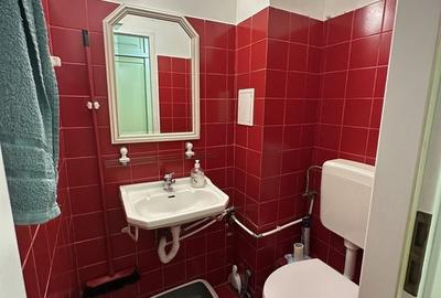 Apartament cu 3 camere decomandat în Decebal - 8