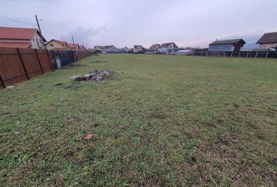 Teren 6.130 mp. deschidere la 2 drumuri 110 euro mp - 3