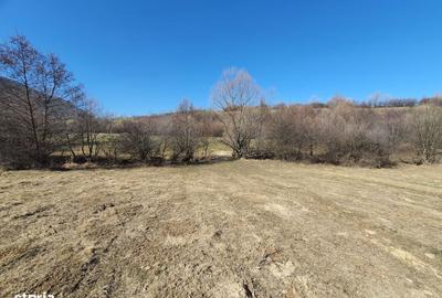 Spațiu comercial, în Bran - 4