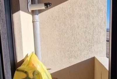 Garsoniera zona Titan/ Theodor Pallady - 9