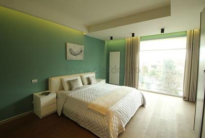 Iancu Nicolae-British School duplex  - 3 dormitoare - 19