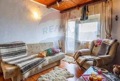 Casa de vanzare Sinca Noua/ Priveliste de vis/ De vanzare! - 3