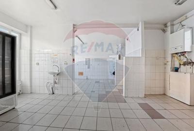 Cladire individuala 243 mp de inchiriat pe strada Mioritei - 7