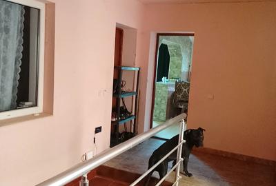 Vand casa in Timi?oara,Calea Urseni - 3