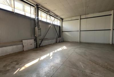 Hala 1400 pentru depozitare sau productie Hala 1400 pentru depozitare sau productie - 18