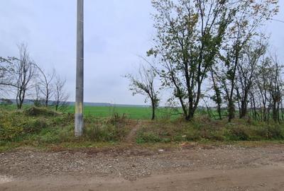 Teren de 3000 mp, în Brănești - 2