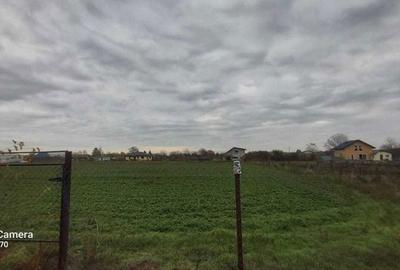 Teren de 2400 mp, în Gruiu