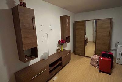 Apartament cu 2 camere decomandat în Valea Oltului - 3