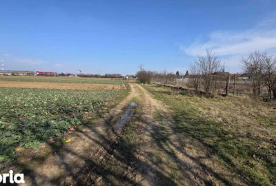 Casă cu 3 camere cu Teren 4041 Mp în Roșiori - 2