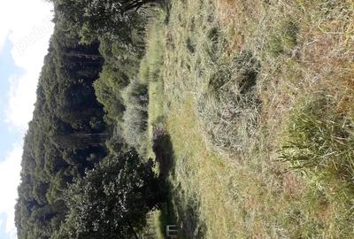 Vand casa in Piatra Neam?. - 8