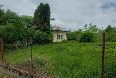 Casă cu 3 camere cu Teren 4000 Mp în Cetățeni - 1