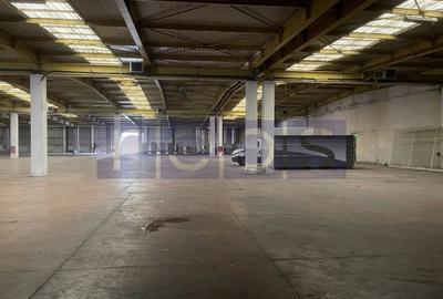 INCHIRIERE HALA | DEPOZIT - OTOPENI CENTURA  |  20.0000 MP - 29