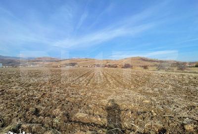 Teren de 13000 mp, în Ighiu - 3