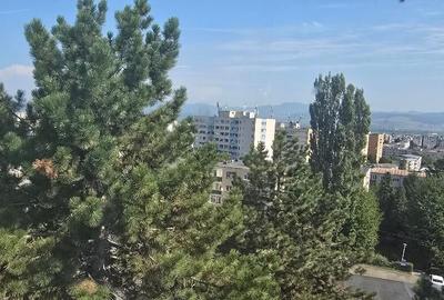 Vand apartament 2 camere in Deva, zona Micro 15 (Lidl), izolat - 6