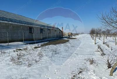 Teren de 2300 mp, în Răstoaca - 4