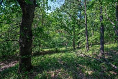 Padure de vanzare oportunitate de investi?ie - 3