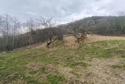 Spațiu comercial, în Sibiel - 5