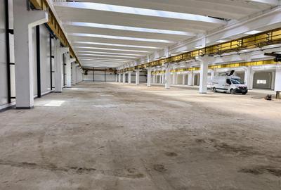 Spațiu industrial, în Mârșa - 15