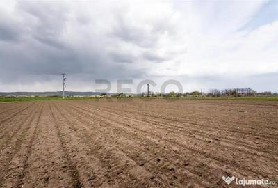 Teren de 5663 mp, în Oșorhei - 5