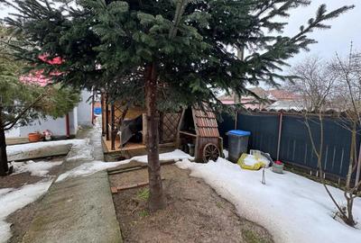 Casă în Tismana - 4