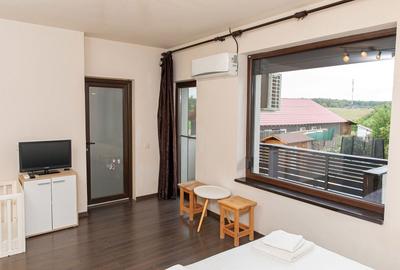 Casă individuală cu 11 camere cu Piscina în Apateu - 35