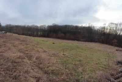 Spațiu comercial, în Tătărăști - 4