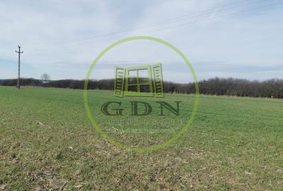 Teren agricol extravilan de 21496 mp, în Săcădat - 6