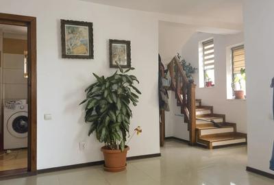 Casa Colibasi, Mioveni - 3