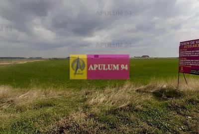 Teren Construcții intravilan de 5110 mp, în 1 Decembrie - 6
