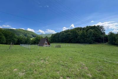 Teren de 20000 mp, în Reghin - 2