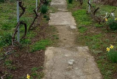 Casă cu 3 camere în Mircea Vodă - 6