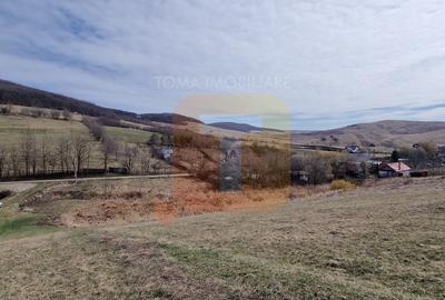 Teren intravilan de vânzare , 3600 mp – Piatra Neamț, zona Balaur - 17