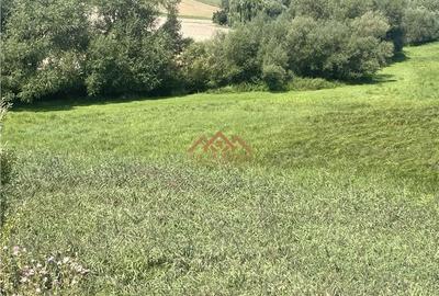 Teren de 8000 mp, în Moara - 1