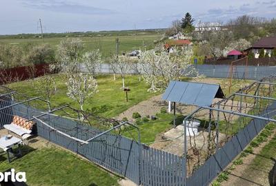 Casă cu 4 camere cu Teren 1350 Mp în Produlești - 7