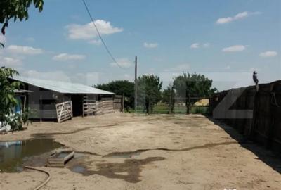 Casă cu 2 camere cu Teren 4700 Mp în Central - 3