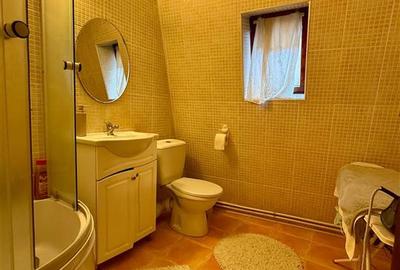 Casă cu 5 camere cu Teren 550 Mp în Bucium - 9