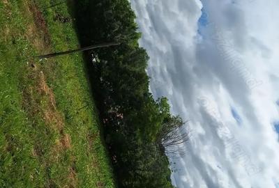 Casă cu 3 camere în Tanacu