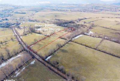 Spațiu comercial, în Sohodol - 14